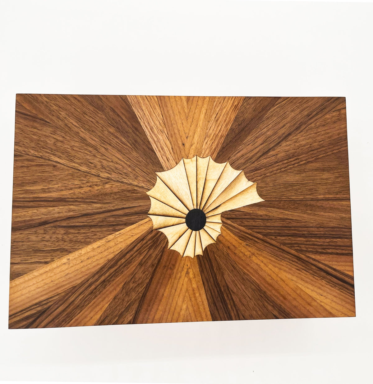 Couvercle en noyer avec marqueterie et coquille Fibonacci